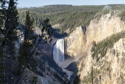 Lower Falls Yellowstone River 2024